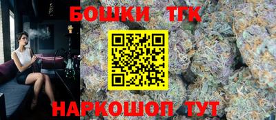 гашик Аргун